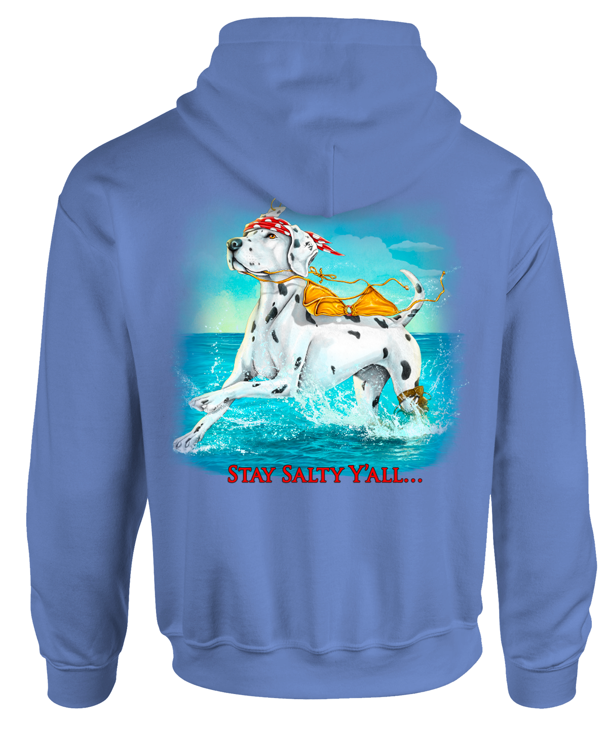 SD428-15LS-70-B Stay Salty Y'All Hooded Sweater - Image 1