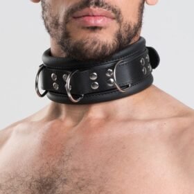 DOMINIX Deluxe Heavy Leather Collar