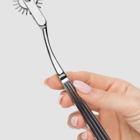 Bondage Boutique Stainless Steel Wartenberg Pinwheel