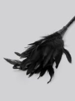 Fetish Fantasy Frisky Black Feather Tickler - Image 3