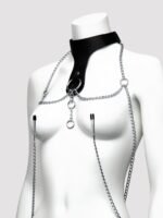 DOMINIX Deluxe Leather Collar with Clamps - Image 4