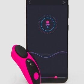 Lovense Ferri App Controlled Rechargeable Panty Vibrator