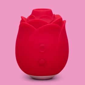 Lovehoney mon ami Pleasure Air Rose Clitoral Suction Stimulator