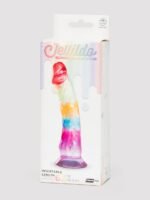 Rainbow Transparent Dildo 6.5 Inches