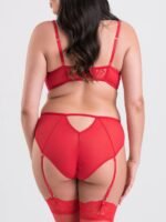 Lovehoney Plus Size Parisienne Charm Red Lace Crotchless Bra Set - Image 4